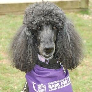 Fundraising Page: Helen Ann Meehan